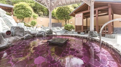 ♨️ 라쿠노유 오카자키(おかざき楽の湯) 이미지 2